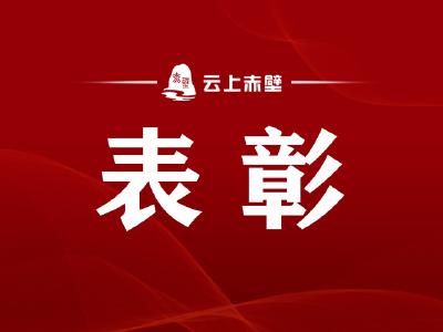 点赞！“学习强国”学习平台这份名单公示，赤壁1家单位、7人上榜