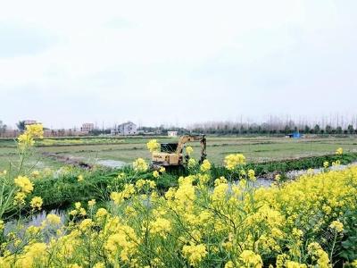 赤壁市车埠镇：追着春光赶农时，奏响田园“春耕曲”