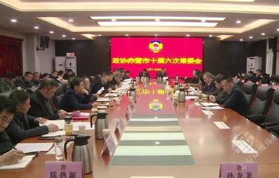 市政协召开十届六次常委会