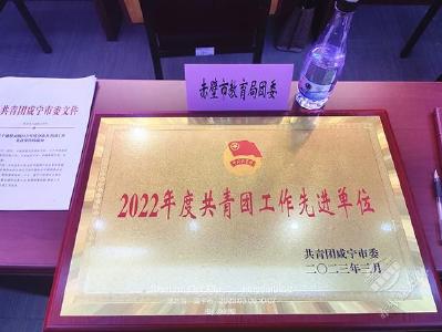 喜报！赤壁市教育团委荣获“2022年度咸宁市共青团工作先进单位”荣誉称号