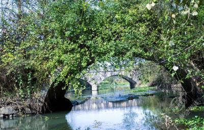 赤壁古桥鉴赏丨中伙铺镇 永逸桥