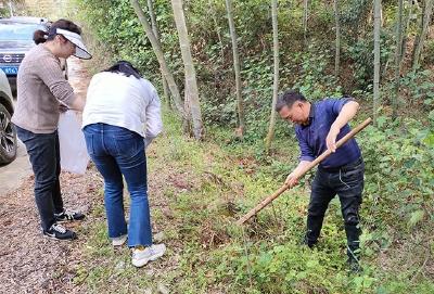 省林业科学研究院来赤壁开展春笋抽样检测