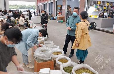 以学促进助推茶产业高质量发展 赤壁市羊楼洞茶场到浙江松阳考察学习