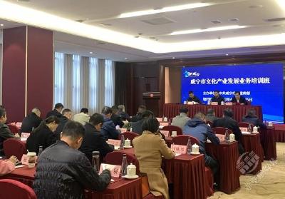 咸宁市文化产业发展业务培训班在赤壁市举行