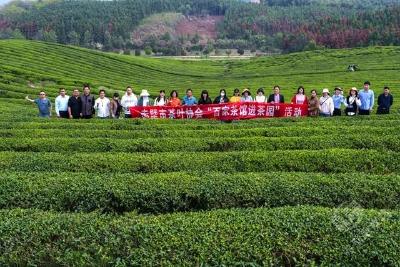 “热爱赤壁茶 推广赤壁茶” 赤壁市茶叶协会组织百家茶馆进茶园