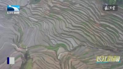 2023年4月30日《公共 新闻》夜游陆水河 观光新体验