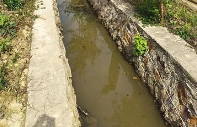 赤壁：清淤修渠引活水 通渠畅灌保丰收