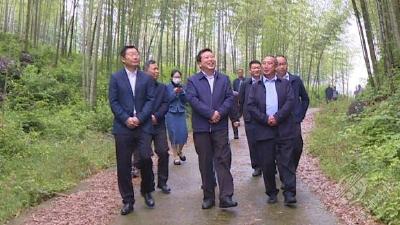 石玉华来赤壁市开展2023年二季度巡林工作