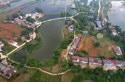  以桃为媒 赤壁市车埠镇奏响生态农业丰收曲