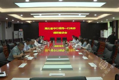 省中行来赤壁市考察调研
