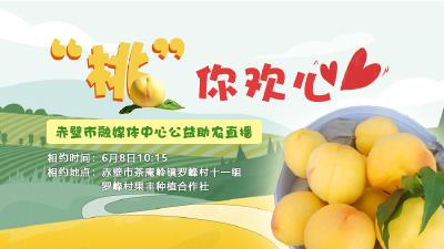 “桃”你欢心 公益助农直播丨就在明天，赤壁罗峰村鲜美黄桃与您甜蜜相约！