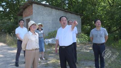 葛军调研游泳设施建设工作