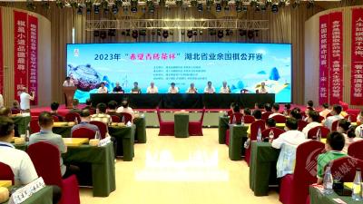 2023年“赤壁青砖茶杯”湖北省业余围棋公开赛开赛