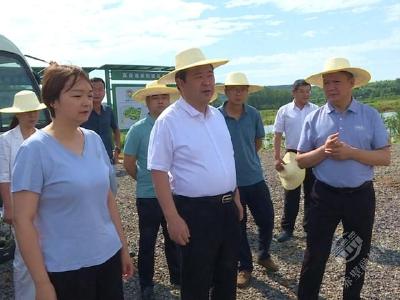 葛军在调研高标准农田建设工作时强调： 加快推进高标准农田建设 助力乡村振兴高质量发展