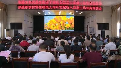 赤壁市开展农村常住居民人均可支配收入监测工作业务培训