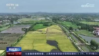 2023年7月14日【新闻30分】湖北赤壁：对双季稻轮作项目发放补贴