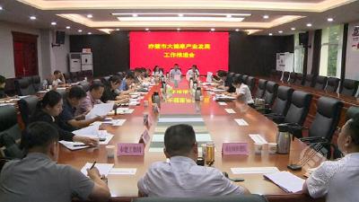 赤壁市推进大健康产业发展工作