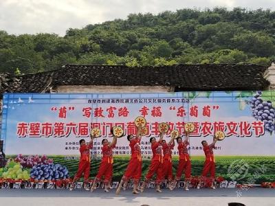 赤壁：农旅融合搭就致富路 共同缔造“葡”写新篇章