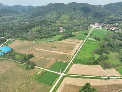 赤壁大湖岭村：从一穷二白的空壳村到欣欣向荣的产业村