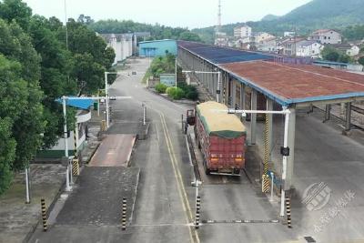 赤壁市夏粮收购平稳有序