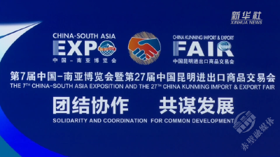 第七届中国—南亚博览会开幕