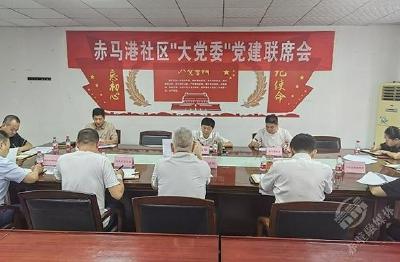 叶文华参加赤马港社区“大党委”第三季度联席会