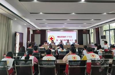 柳山湖镇红十字会第一次会员代表大会召开