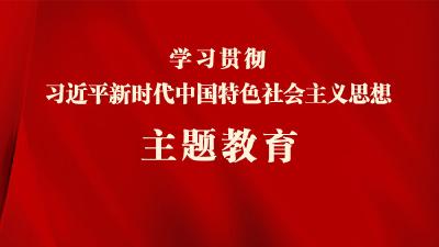学习贯彻习近平新时代中国特色社会主义思想主题教育