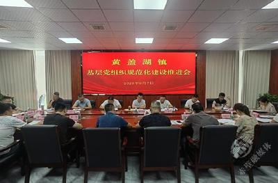赤壁市黄盖湖镇推进基层党组织规范化建设