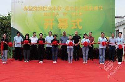 庆丰收·迎中秋 赤壁市举办第二届猕猴桃开园采摘节