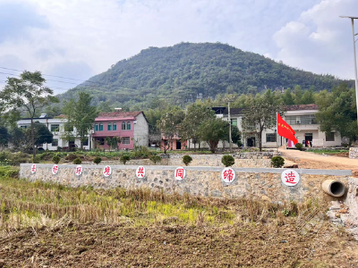 湖北赤壁：我家菜园展新貌 共同缔造见成效