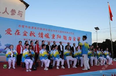 弘扬中华优良传统 丰富百姓文化生活 蒲圻街道举办专场文艺活动