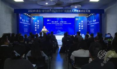 咸宁市第六届“南鄂杯”高层次人才创新创业大赛专场复赛（资源与环境专场）在赤壁举行