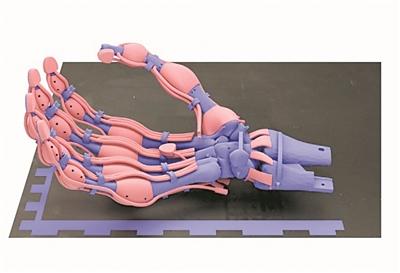 首度利用慢速固化塑料3D打印机械手有了骨骼、韧带和肌腱