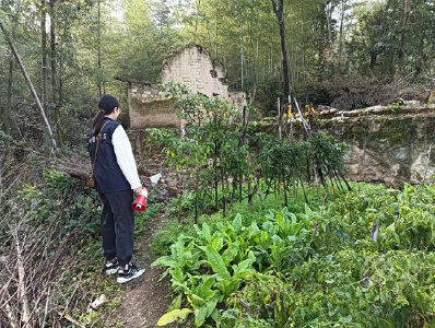 陆水湖街道开展毒品原植物踏查行动