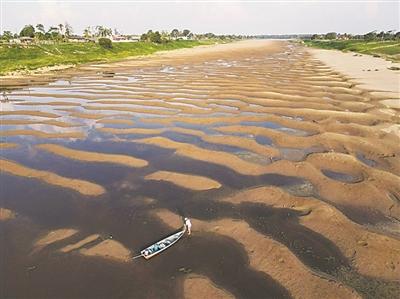 亚马孙雨林今年为何这么“渴”