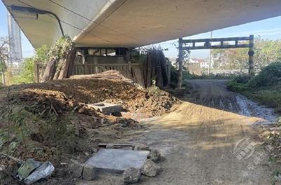 赤马港街道营里社区：清除积水解民忧