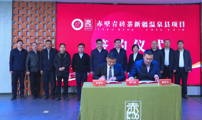 赤壁青砖茶新疆温泉县项目签约