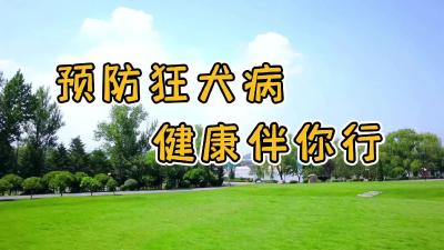 关于狂犬病预防，你了解多少？