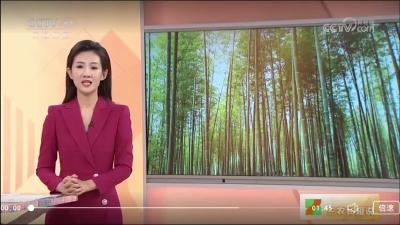 2023年11月12日【三农长短说】长关注·“以竹代塑” 一根竹子的众多可能 湖北咸宁 总投资15亿欧元 德资“以竹代塑”项目开工