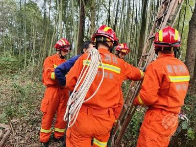 湖北赤壁：村民修树被困树杈 消防员快速救援