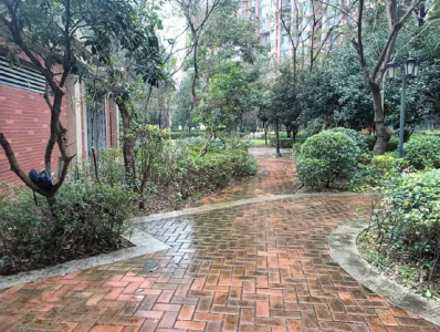 赤马港龙翔山社区：小区道路“微改造” 居民 幸福“大提升”