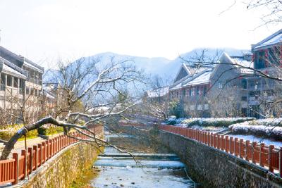 湖北赤壁：初雪映茶乡 待君入画来