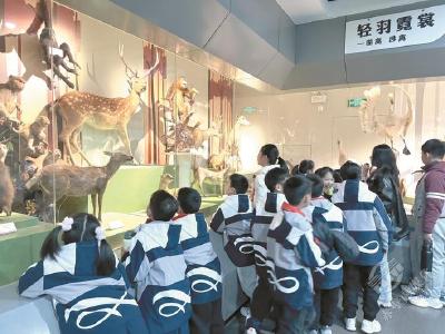 小学生打卡高校里的“动物园”