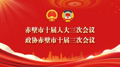 聚焦赤壁两会