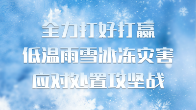 全力打好打赢低温雨雪冰冻灾害应对处置攻坚战