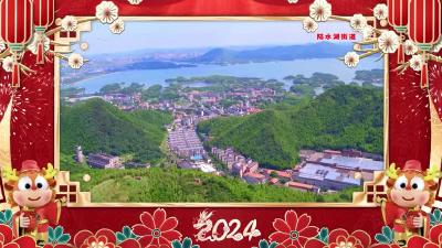 陆水湖街道