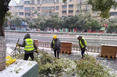 赤壁城发集团：清理断枝除隐患 保障出行畅与安