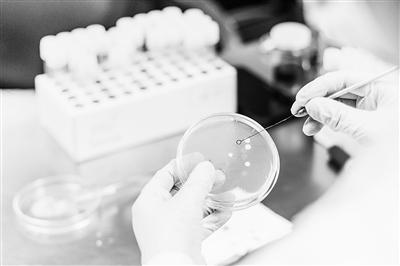 如何让产电微生物释放更大效能