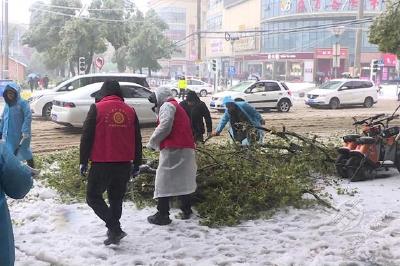 蒲圻街道综合执法中心清理积雪保出行